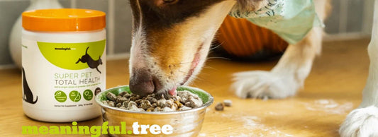 Vitamins for dogs