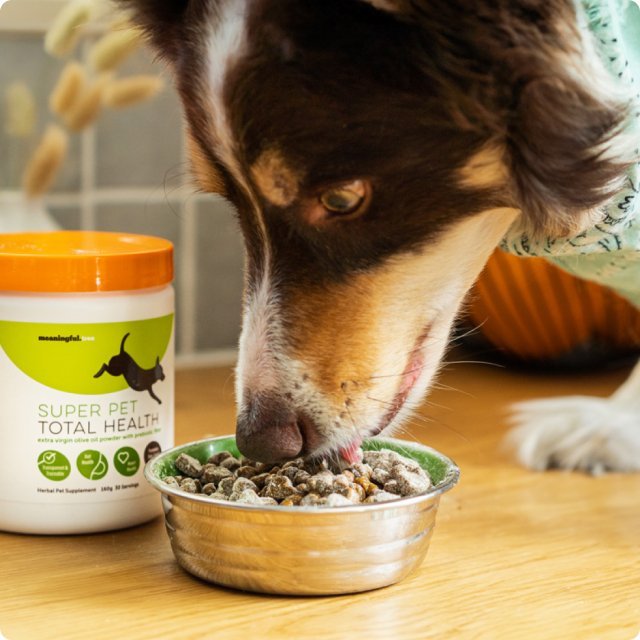 Super Pet Total Health (160g)